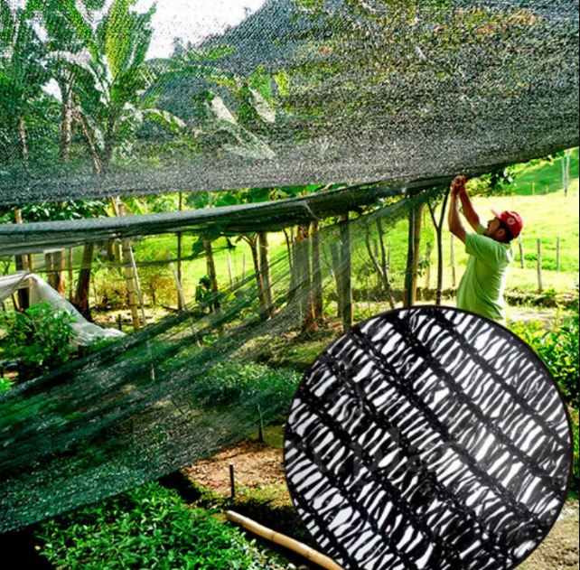 Lee más sobre el artículo Aplicación de la malla raschel